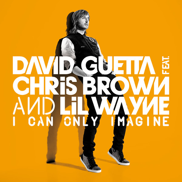 Ultratop Be David Guetta Feat Chris Brown Lil Wayne I Can